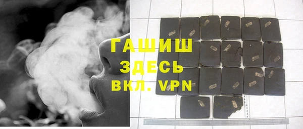 мет Алексин