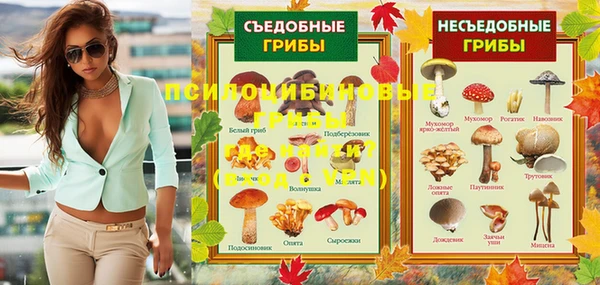 a pvp Арсеньев