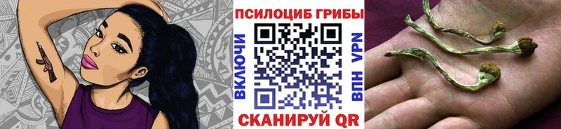 продажа наркотиков  Удачный  Псилоцибиновые грибы GOLDEN TEACHER 